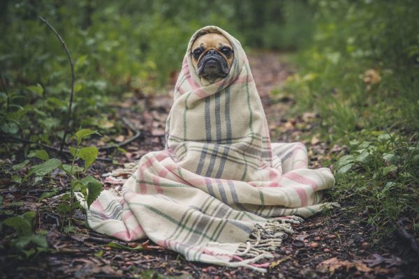 New is always better